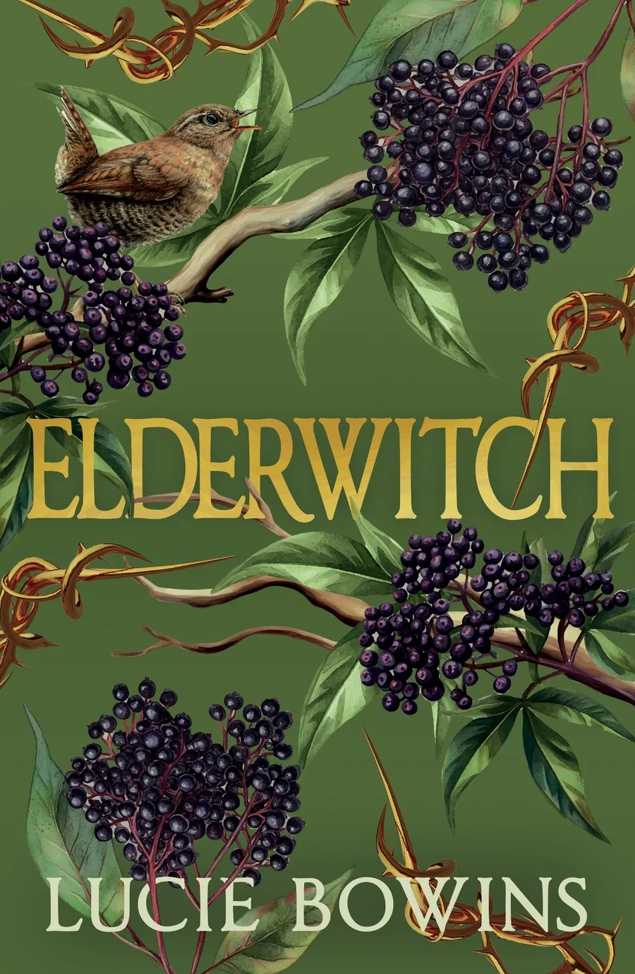 The cover of Elderwitch: gold lettering over deep-green elder leaves, clusters of dark elderberries and a small wren.